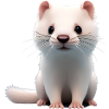 Ferret