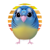 Observation des oiseaux