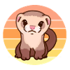 Furet Coucher de soleil