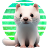 Furet Coucher de soleil