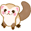 Frettchen