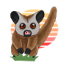 Kinkajou