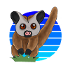 Kinkajou