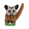 Kinkajou