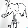 Elefant
