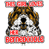 Bernedoodle Dog
