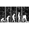 Ice Curling Curler Curling Evolution