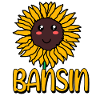 Bansin