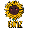 Binz