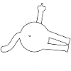 cat says no