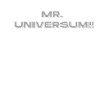 MR. UNIVERSUM body