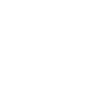 Mudi