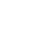Bandwagon Fan 10