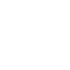 Schwerin coordinates