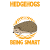 Igel Geschenk Stacheligel
