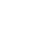 Thick puffer fish