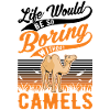Kamel Geschenk Dromedar Camel Großkamel