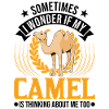 Kamel Geschenk Dromedar Camel Großkamel