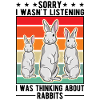 Lapin lapin lapin lapin