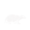 Honey Badger
