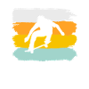 skate retro