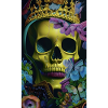 Beautiful fantasy Skull