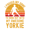 Badminton et Yorkshire Terrier