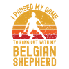 Badminton and Belgian Shepherd