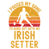 Badminton and Irish Setter