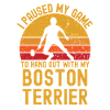 Badminton and Boston Terrier
