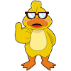 Duck Sunglasses