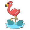 Requin flamant rose