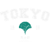 Tokyo City Japan