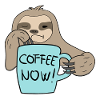 Café maintenant