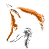 Fox under the snow