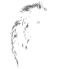 Leon under the snow
