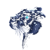 Snowy feline