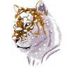 Siberian snowy tiger