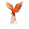 Bunte Ara-Papageien - Modernes Vogeldesign