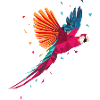 Aras perroquet Perruche géométrique