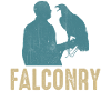 Falconer Falconry Birding