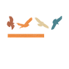 Falconer In Progress