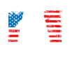 Team Usa-cornhole