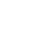 Bison