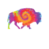 Bison