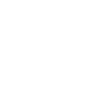 Bison