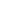 Bison
