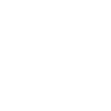 Bison