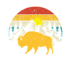 Bison