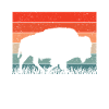 Bison